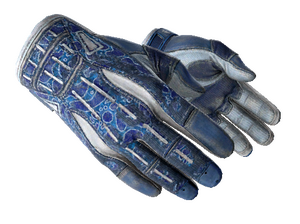 ★ Sport Gloves | Amphibious (Battle-Scarred)