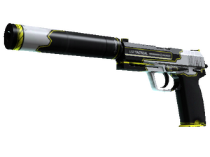 StatTrak™ USP-S | Torque (Minimal Wear)